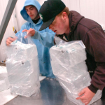 herald news features eastern ice